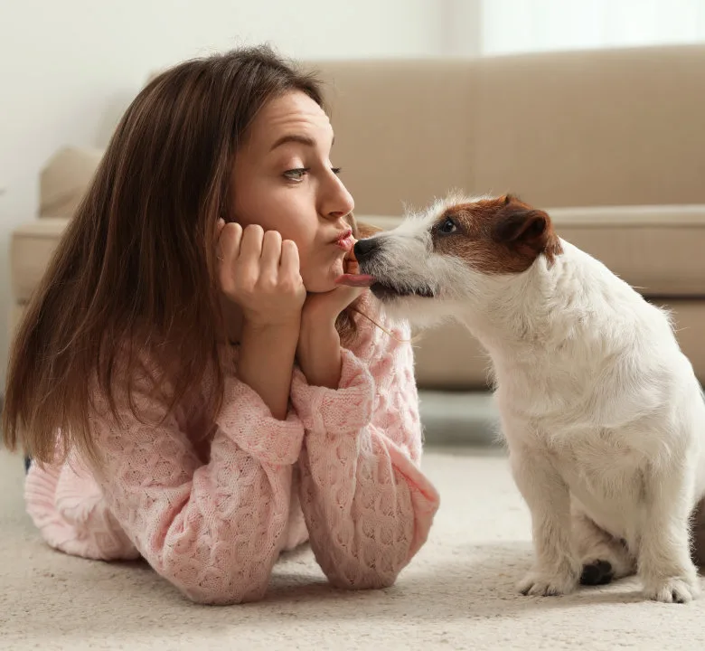 Mutuelle santé pour chien – Marseille 2