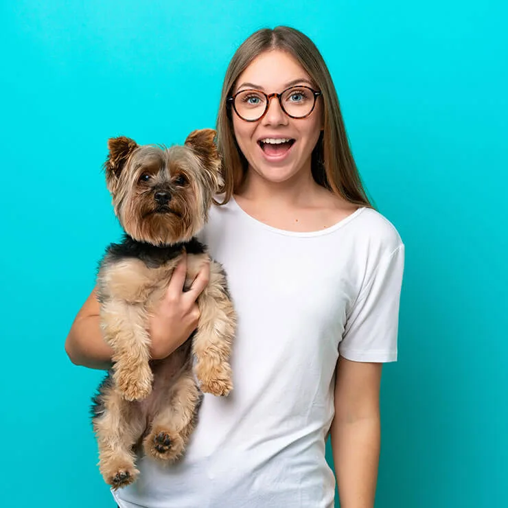 Mutuelle santé pour chien – Marseille 4
