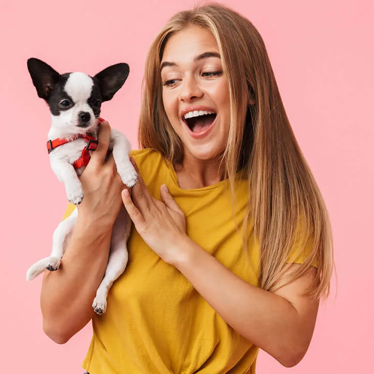 Mutuelle santé pour chien – Marseille 5